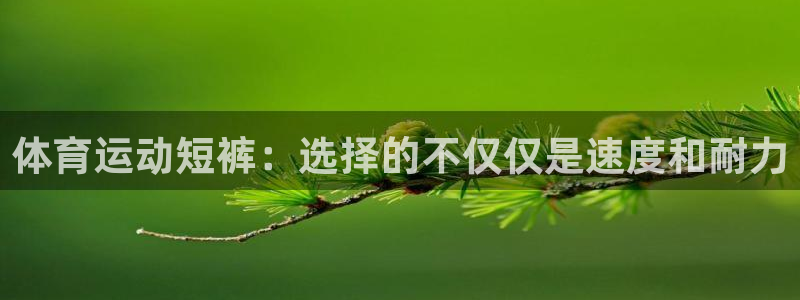 球迷体育手app：体育运动短裤：选择的不仅仅是速度和耐力