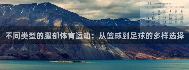 球迷体育怎么看回放：不同类型的腿部体育运动：从篮球到足球的多样选择