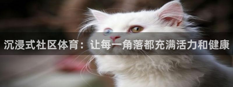 球迷体育软件：沉浸式社区体育：让每一角落都充满活力和健康
