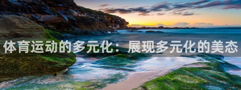 球迷体育怎么买票：体育运动的多元化：展现多元化的美态