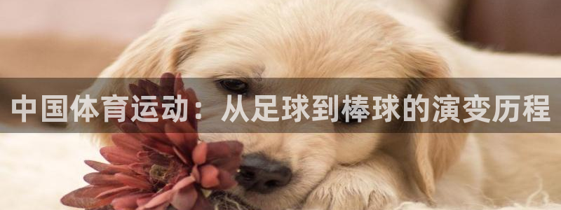 球迷体育最新版下载：中国体育运动：从足球到棒球的演变历程