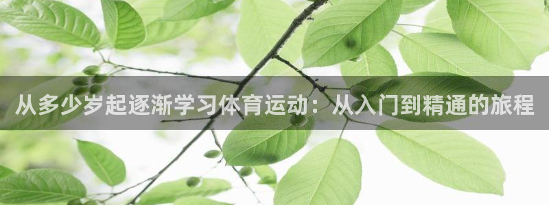 球迷体育怎么买票：从多少岁起逐渐学习体育运动：从入门到精通的旅程