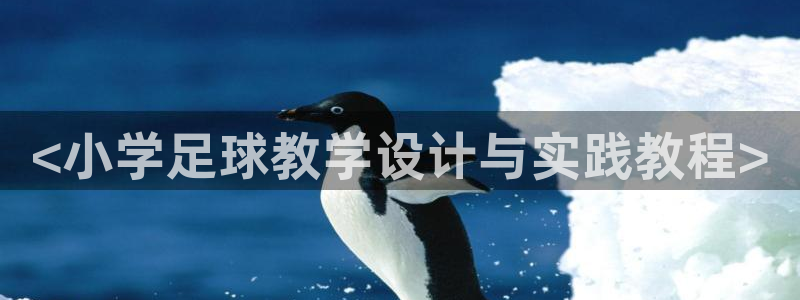 球迷体育：<小学足球教学设计与实践教程>