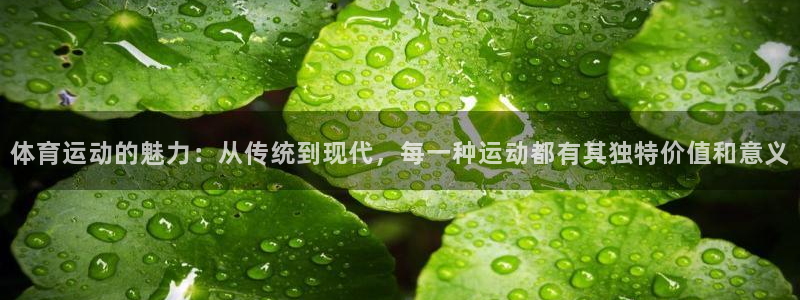 球迷体育怎么看回放：体育运动的魅力：从传统到现代，每一种运动都有其独特价值和意义