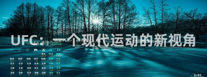 球迷体育软件：UFC：一个现代运动的新视角