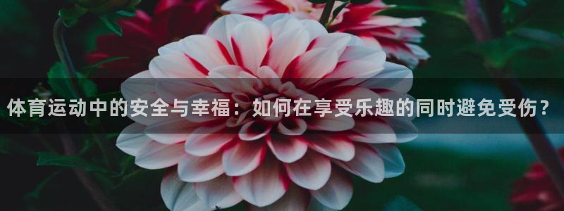球迷体育app官方版下：体育运动中的安全与幸福：如何在享受乐趣的同时避免受伤？
