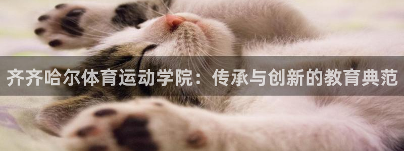 球迷体育怎么买票：齐齐哈尔体育运动学院：传承与创新的教育典范