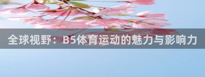球迷体育app下载安卓：全球视野：B5体育运动的魅力与影响力