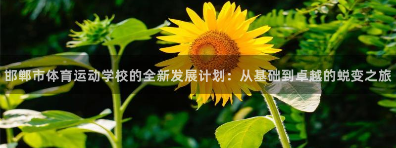 球迷体育app官方版下：邯郸市体育运动学校的全新发展计划：从基础到卓越的蜕变之旅